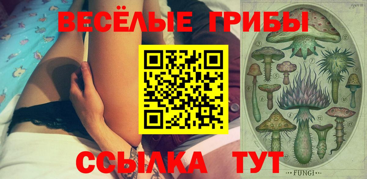 хочу   Псилоцибиновые грибы прущие грибы  Галлюциногенные грибы мицелий  Вход с VPN  Якутск 